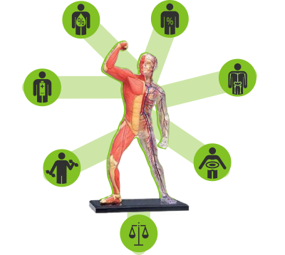 be fit body scan
